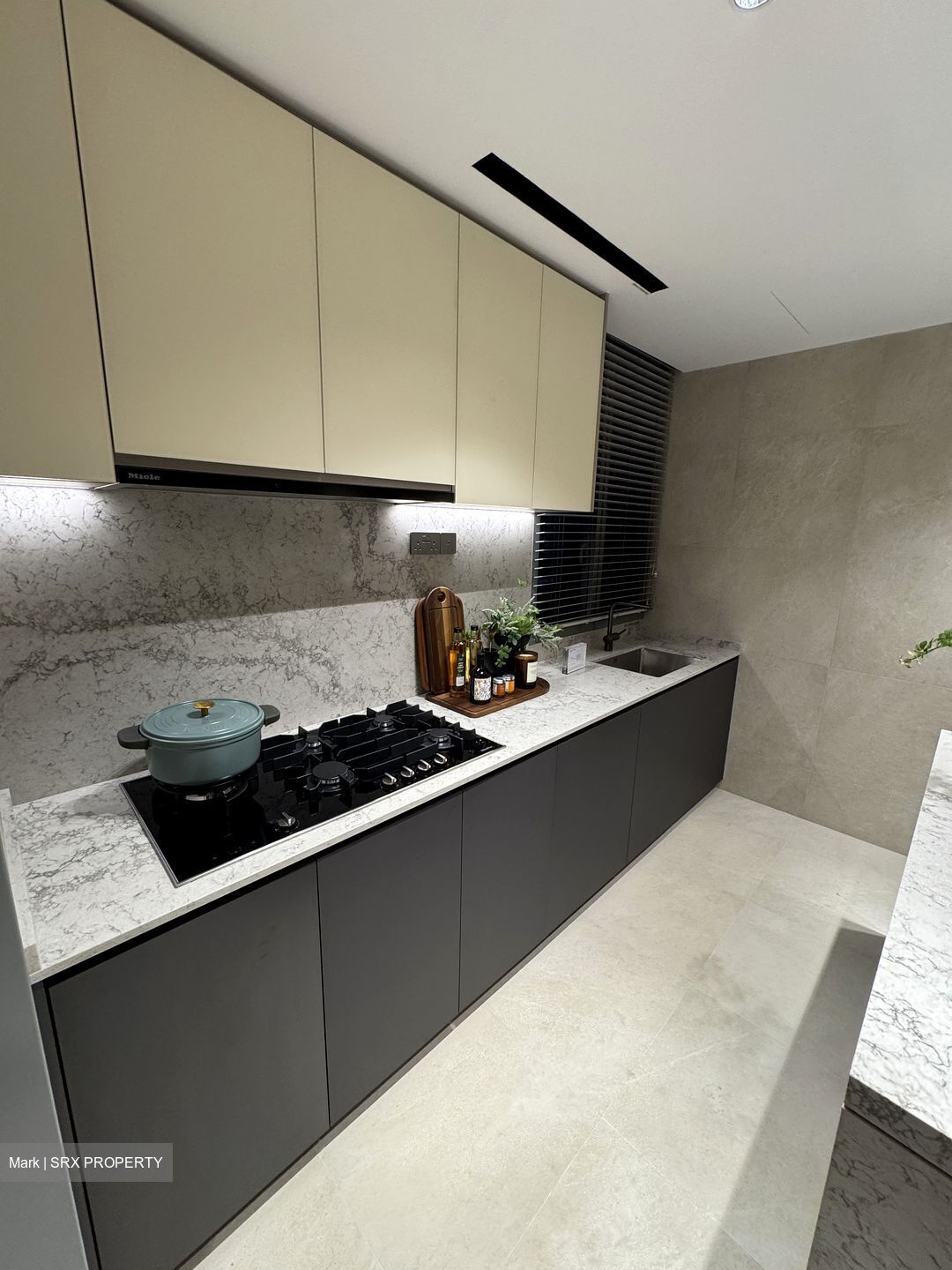 The Landmark (D3), Condominium #479756011